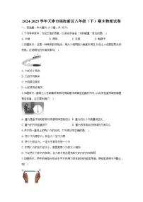 天津市滨海新区2024-2025学年八年级下学期期末物理试卷（解析版）