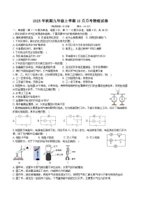 2024-2025学年泸州市江阳区第二学区九年级（上）10月月考物理试卷