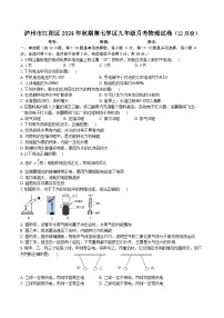 2024-2025学年泸州市江阳区第七学区九年级（上）月考物理试卷（12月）