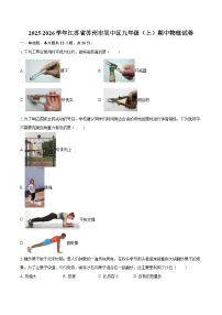 2025-2026学年江苏省苏州市吴中区九年级（上）期中物理试卷-自定义类型