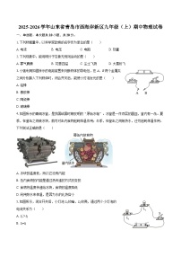 2025-2026学年山东省青岛市西海岸新区九年级（上）期中物理试卷-自定义类型