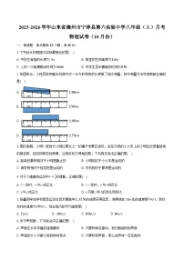 山东省 宁津县第六实验中学2025-2026学年八年级上学期10月月考物理试题 (有答案和解析）