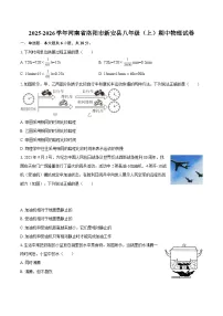 2025-2026学年河南省洛阳市新安县八年级（上）期中物理试卷-自定义类型