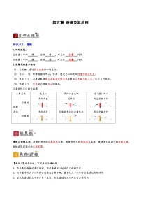 2026届中考物理一轮复习精讲精练专题5透镜及其应用（2份，原卷版+解析版）