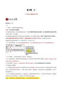 2026届中考物理一轮复习精讲精练专题7  力（2份，原卷版+解析版）