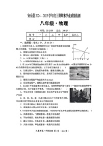 四川省资阳市安岳县2024-2025学年上学期八年级物理期末试卷