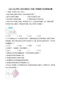 2025-2026学年上海市奉贤区八年级上学期期中考试物理试题-自定义类型