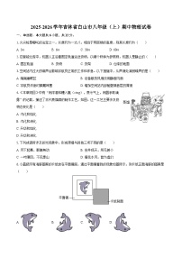 2025-2026学年吉林省白山市八年级（上）期中物理试卷-自定义类型
