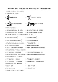 2025-2026学年广东省茂名市化州市九年级（上）期中物理试卷-自定义类型