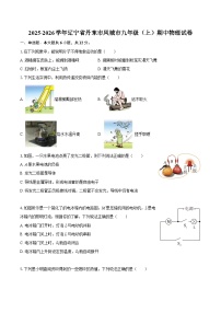 2025-2026学年辽宁省丹东市凤城市九年级（上）期中物理试卷-自定义类型