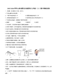 2025-2026学年山东省泰安市新泰市九年级（上）期中物理试卷-自定义类型