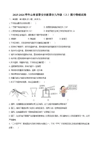 2025-2026学年山东省泰安市新泰市九年级（上）期中物理试卷-自定义类型