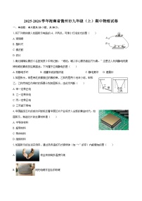 2025-2026学年海南省儋州市九年级（上）期中物理试卷-自定义类型
