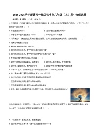 2025-2026学年新疆喀什地区喀什市八年级（上）期中物理试卷-自定义类型