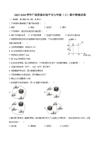 2025-2026学年广西贵港市桂平市九年级（上）期中物理试卷-自定义类型