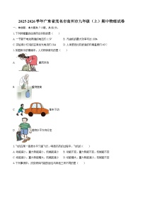 2025-2026学年广东省茂名市高州市九年级（上）期中物理试卷-自定义类型 (1)