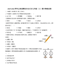 2025-2026学年山东省潍坊市安丘市九年级（上）期中物理试卷-自定义类型