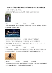 2025-2026学年山东省潍坊市八年级上学期11月期中物理试题-自定义类型