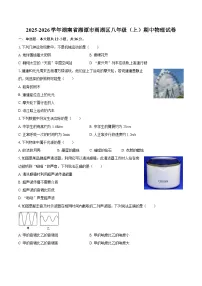 2025-2026学年湖南省湘潭市雨湖区八年级（上）期中物理试卷-自定义类型