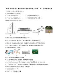 2025-2026学年广东省深圳市外国语学校八年级（上）期中物理试卷-自定义类型