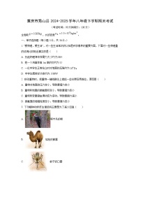 重庆市秀山县2024-2025学年八年级下学期期末考试物理试卷（学生版）