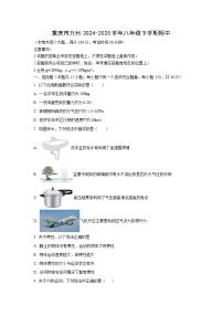 重庆市万州某校2024-2025学年八年级下学期期中物理试卷（学生版）