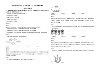 天津市滨海新区2025-2026学年九年级上学期11月期中物理试题（有答案和解析）