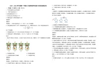 天津市第十九中学2025-2026学年九年级上学期期中考试物理试题（有答案和解析）