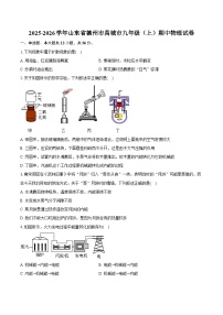 2025-2026学年山东省德州市禹城市九年级（上）期中物理试卷（含答案+解析）