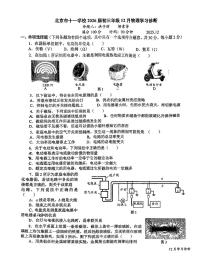 2025北京十一学校初三上11月月考物理试卷