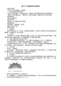 人教版（2024）九年级全册（2024）第3节 卫星通信和光纤通信教案