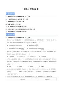2025秋八年级上册物理 备考重难点训练专题2 声音的计算（含解析）