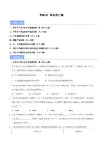 2025秋八年级上册物理 备考重难点训练专题2 声音的计算（含解析）