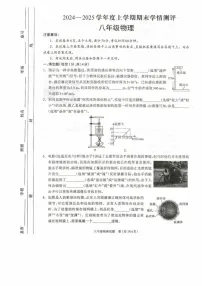 河南省驻马店市平舆县2024-2025学年八年级上学期期末学情测评物理试卷