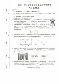 河南省驻马店市平舆县2024-2025学年度九年级上学期1月期末学情测评物理试题