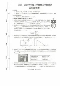 河南省驻马店市平舆县2024-2025学年度九年级上学期1月期末学情测评物理试题