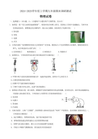 黑龙江省哈尔滨市道里区2024-2025学年九年级上学期物理期末试卷