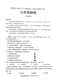 湖南省郴州市2024-2025学年九年级上学期期末学业质量抽测试卷物理试卷
