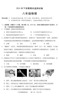 湖南省衡阳市常宁市2024-2025学年八年级上学期1月期末物理试题