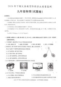 湖南省永州市宁远县2024-2025学年九年级上学期1月期末物理试题