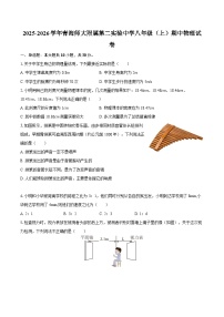 2025-2026学年青海师大附属第二实验中学八年级（上）期中物理试卷-自定义类型