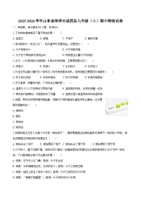 2025-2026学年山东省菏泽市成武县九年级（上）期中物理试卷-自定义类型