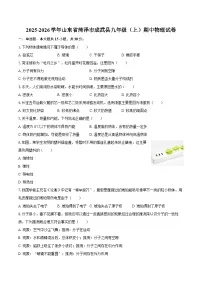 2025-2026学年山东省菏泽市成武县九年级（上）期中物理试卷-自定义类型