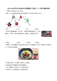 2025-2026学年山东省枣庄市薛城区九年级（上）期中物理试卷-自定义类型