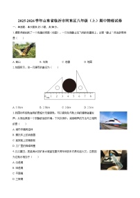 2025-2026学年山东省临沂市河东区八年级（上）期中物理试卷-自定义类型