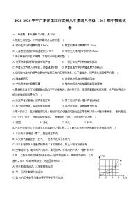 2025-2026学年广东省湛江市雷州八中集团八年级（上）期中物理试卷（含答案+解析）