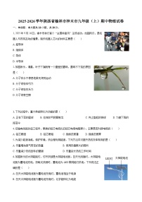 2025-2026学年陕西省榆林市神木市九年级（上）期中物理试卷-自定义类型