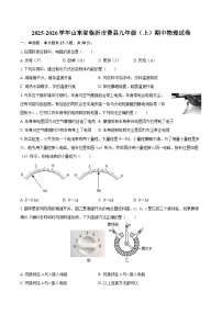 2025-2026学年山东省临沂市费县九年级（上）期中物理试卷-自定义类型