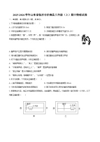 2025-2026学年山东省临沂市沂南县八年级（上）期中物理试卷-自定义类型
