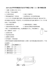 2025-2026学年河南省驻马店市平舆县九年级（上）期中物理试卷-自定义类型